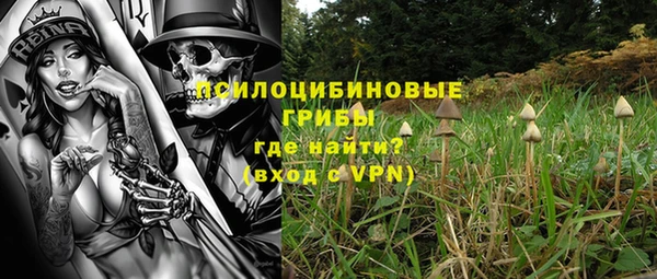 каннабис Коряжма