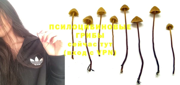 не бодяженный Касимов