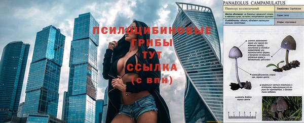2c-b Козловка
