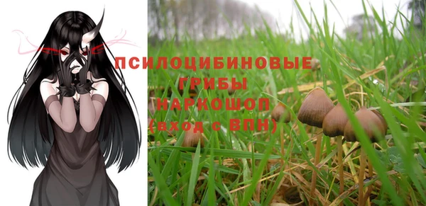 apvp Костерёво