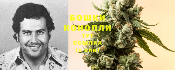 2c-b Козловка